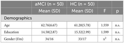 Metacognitive beliefs of efficacy about daily life situations and use of cognitive strategies in amnestic mild cognitive impairment: a cross-sectional study